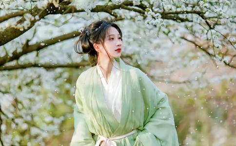 七日游