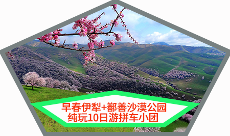 d87b529cc9b9e7674a5f28c634032c9