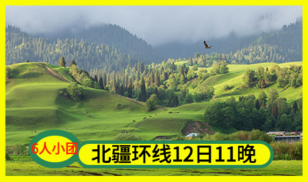 ef23d1250a24ac7ff84f9eeefd6a896