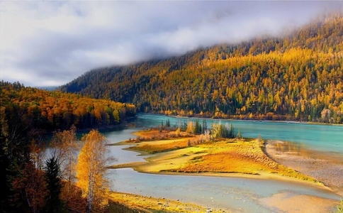 image_8
