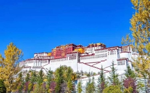 20250303_报团去新疆旅游_20250303_113651_4481
