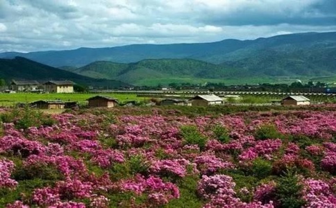 20250303_新疆3月适合旅游_20250303_113700_9646