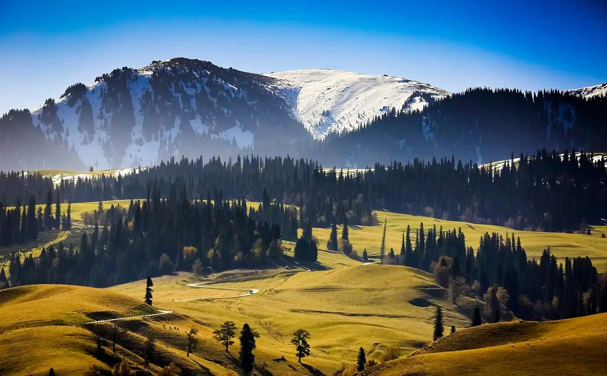 7d10cfe3-e707-482e-ac57-f85002046d2f