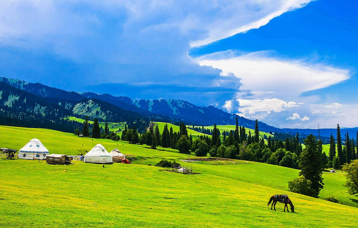 【小众伊犁8天7晚】7座商务舱