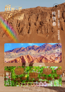 图片13