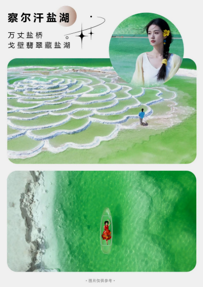 图片55 图片55