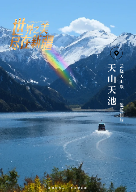 图片12