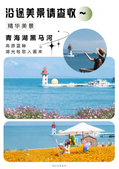 图片31 图片31