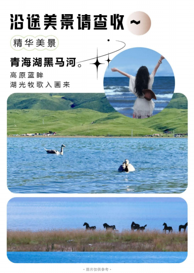 图片63 图片63