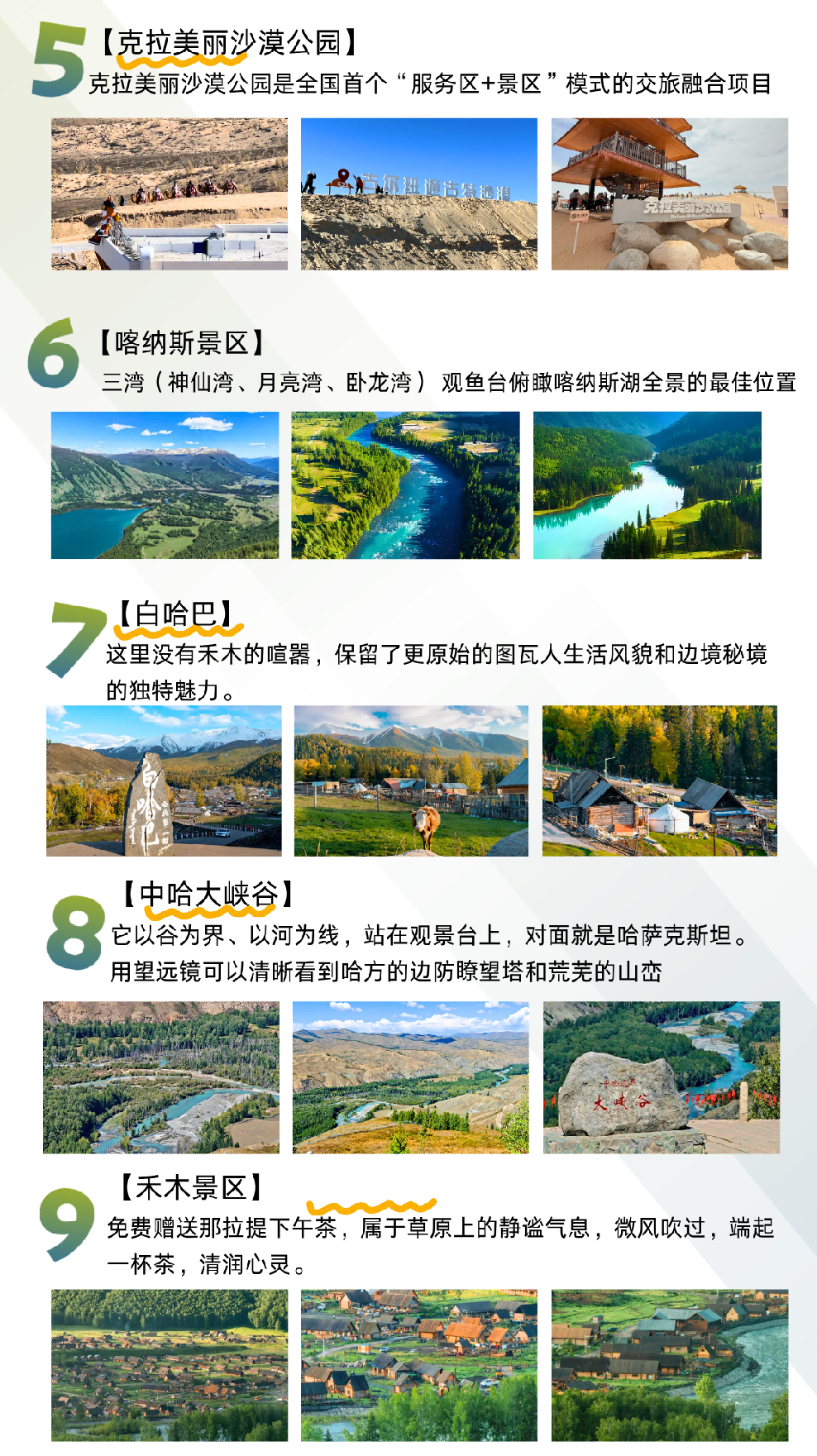 图片6 图片6