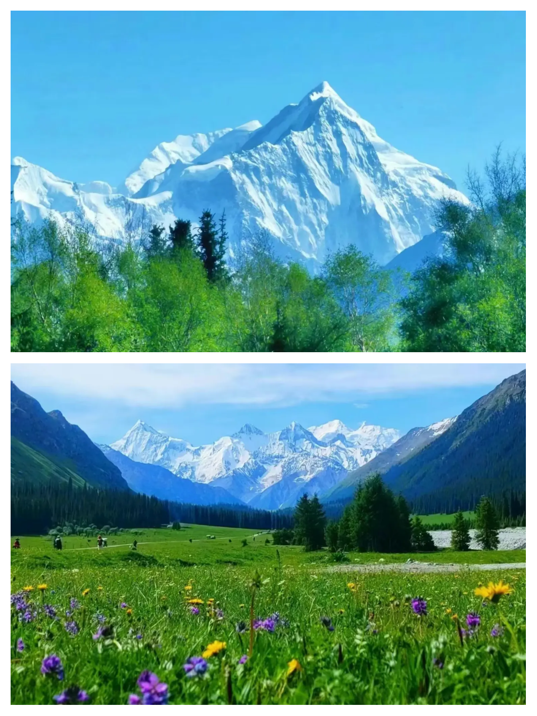 四川绵阳出发去新疆旅游，参加北疆环线10日游6人小团在哪报名？电话是多少？